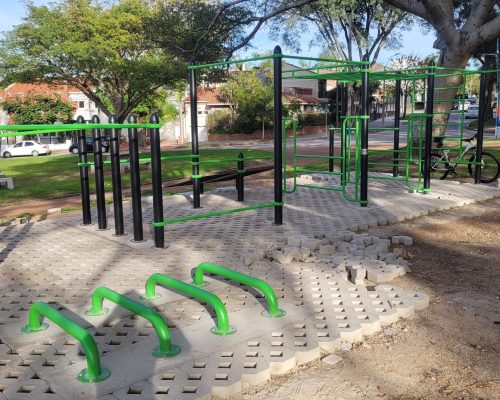 CALISTENIA MOTUS (3)