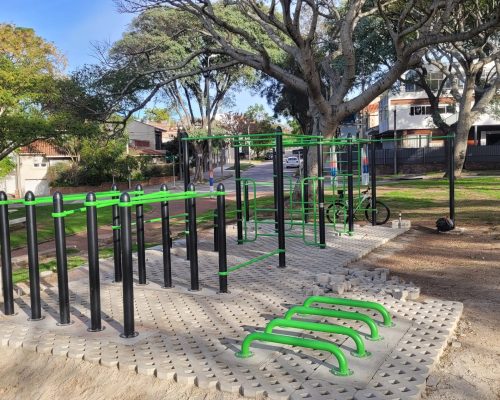 CALISTENIA MOTUS (5)