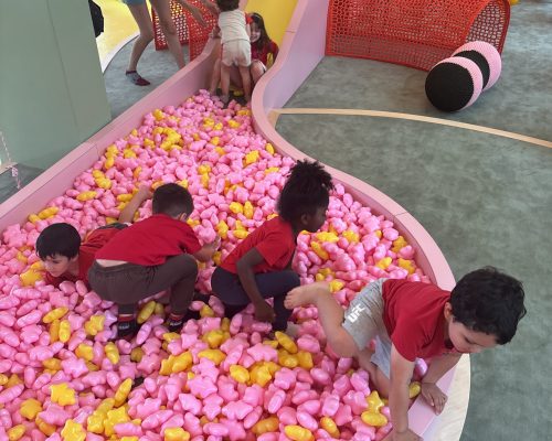 JOY_20241213_114049_494_photo