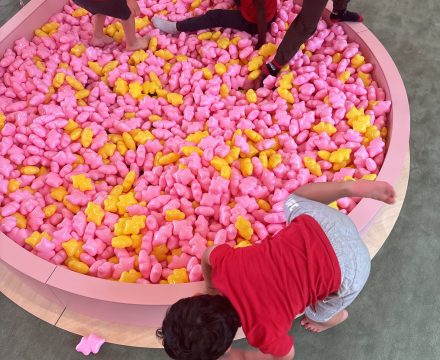 JOY_20241213_114055_627_photo